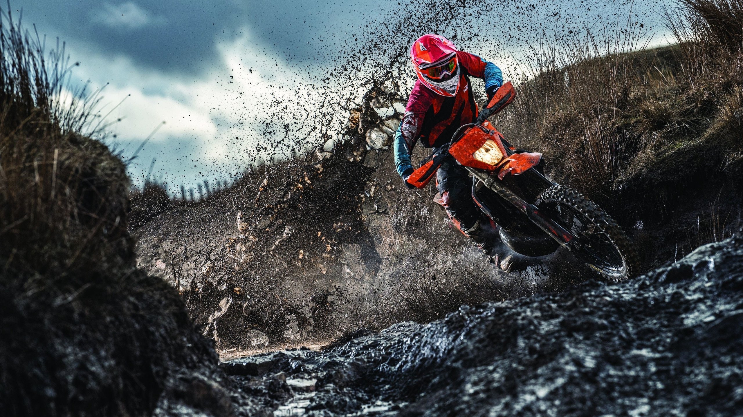 开云体育官方网入口-《Apex Legends》新地图上线，战局变化引发热议，apex.地图